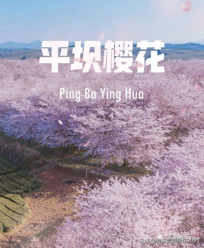 堕落之王